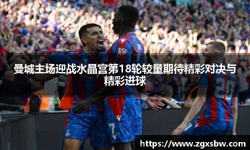 曼城主场迎战水晶宫第18轮较量期待精彩对决与精彩进球